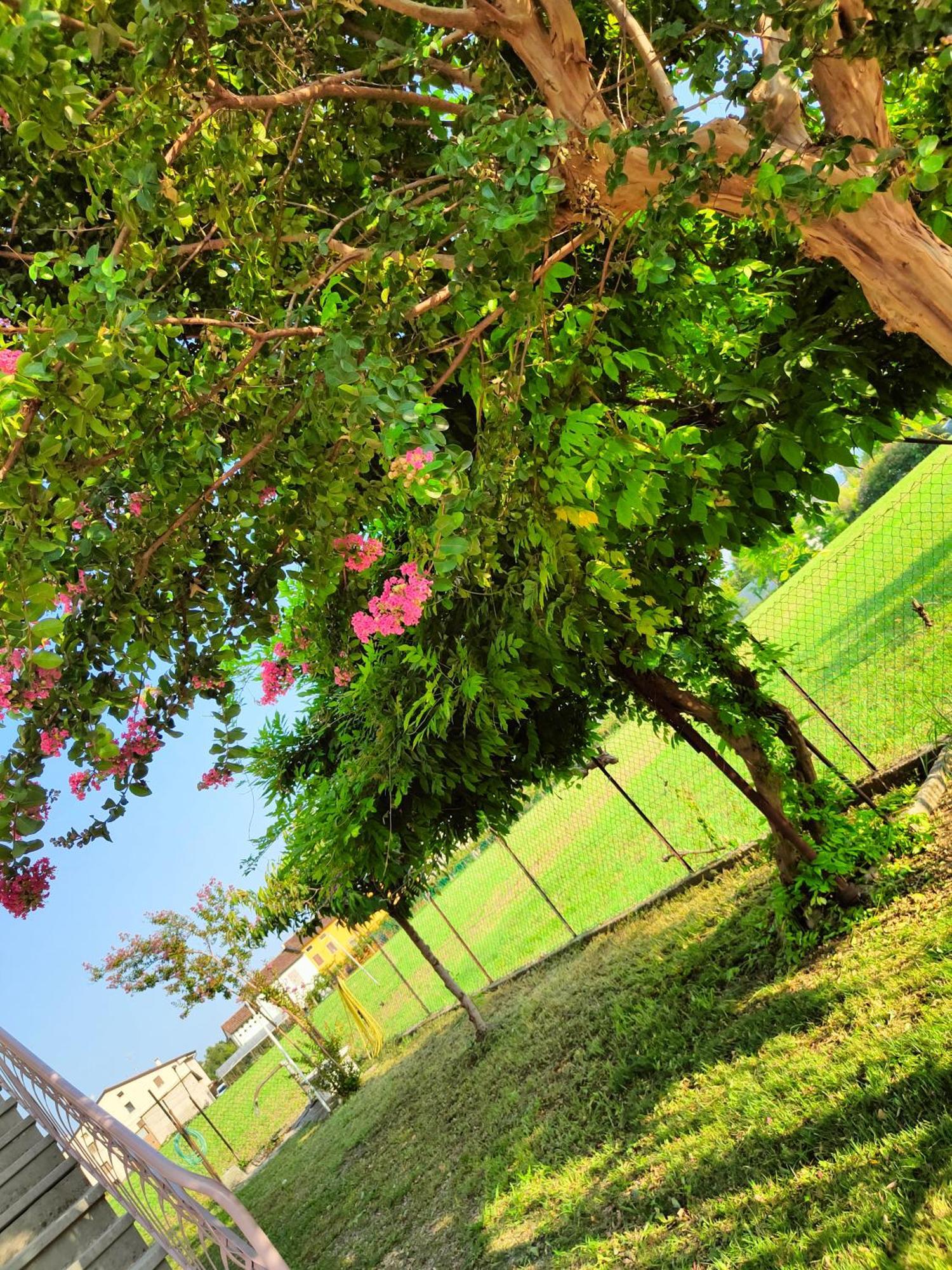 Lavanda House วิเชนซา ภายนอก รูปภาพ
